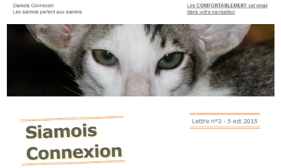 Siamois Connexion